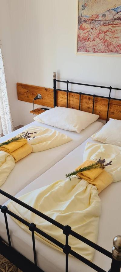 Bed & Breakfast Ruzica ノヴィ・ヴィノドロスキー エクステリア 写真